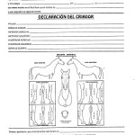 Declaracion 1 001